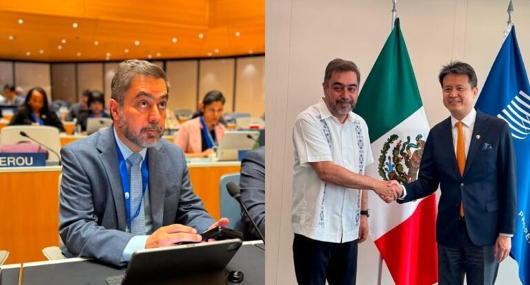 IMPI designado como Administración de Búsqueda Internacional en música y cultura