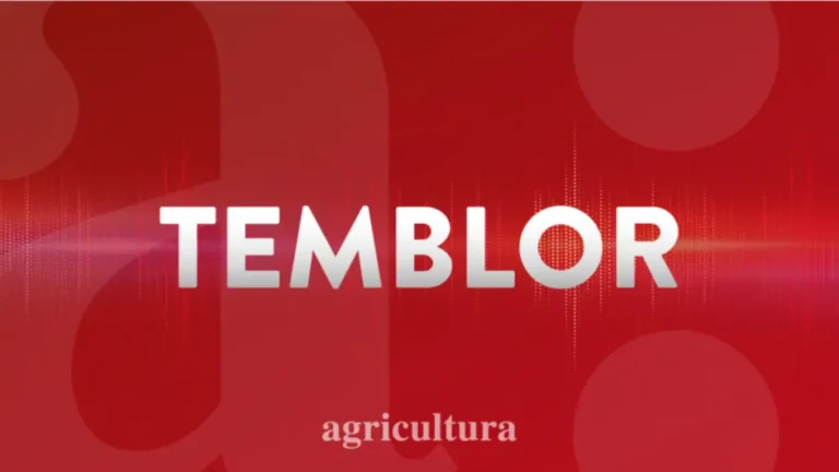 Sismo de magnitud 5,0 en San Pedro de Atacama genera preocupación